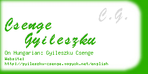 csenge gyileszku business card